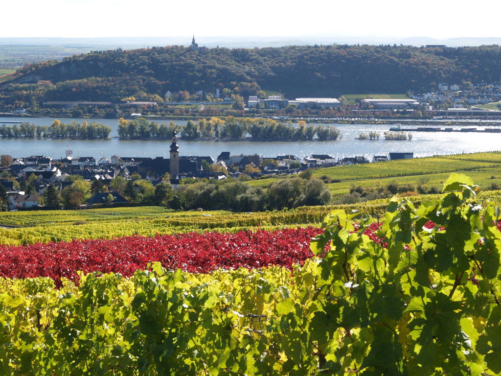 Ringhotel Central Rüdesheim am Rhein Extérieur photo